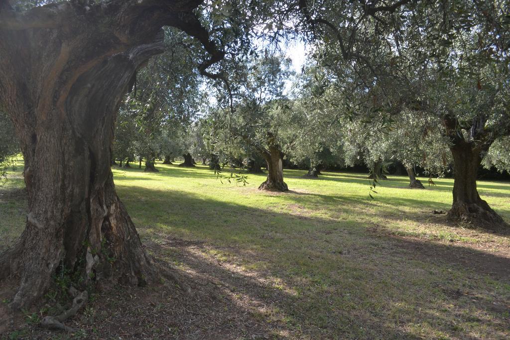 La Cipriana Villa Castagneto Carducci Kültér fotó