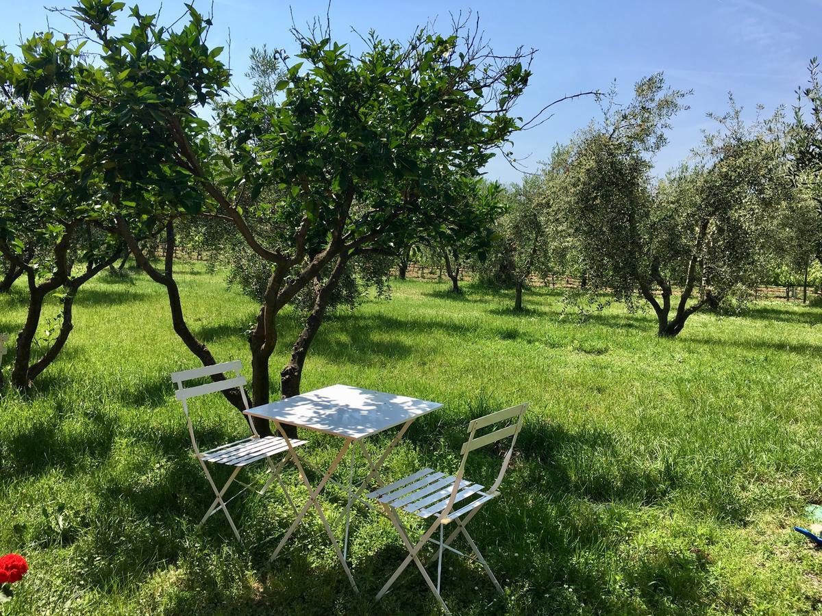 La Cipriana Villa Castagneto Carducci Kültér fotó