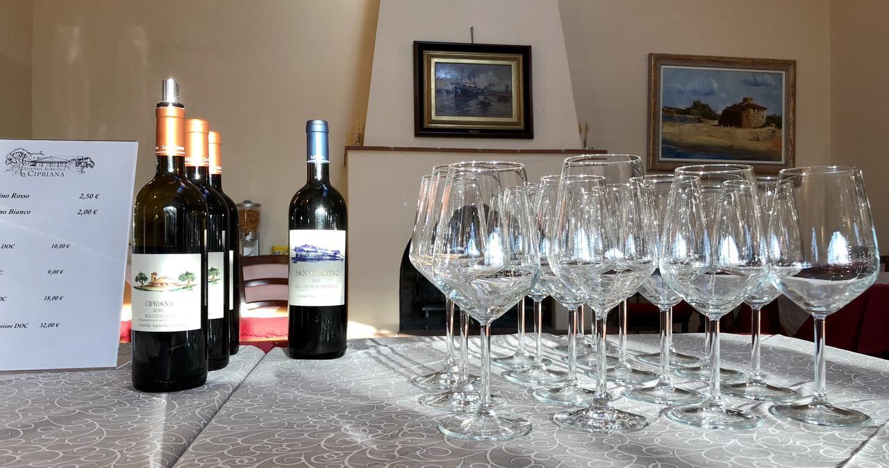 La Cipriana Villa Castagneto Carducci Kültér fotó